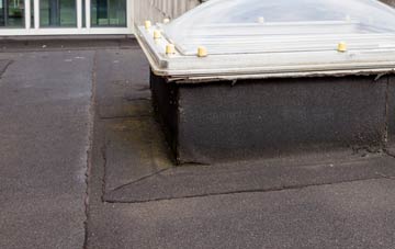 disadvantages of Tre Derwen flat roofs