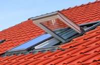 Tre Derwen roof window
